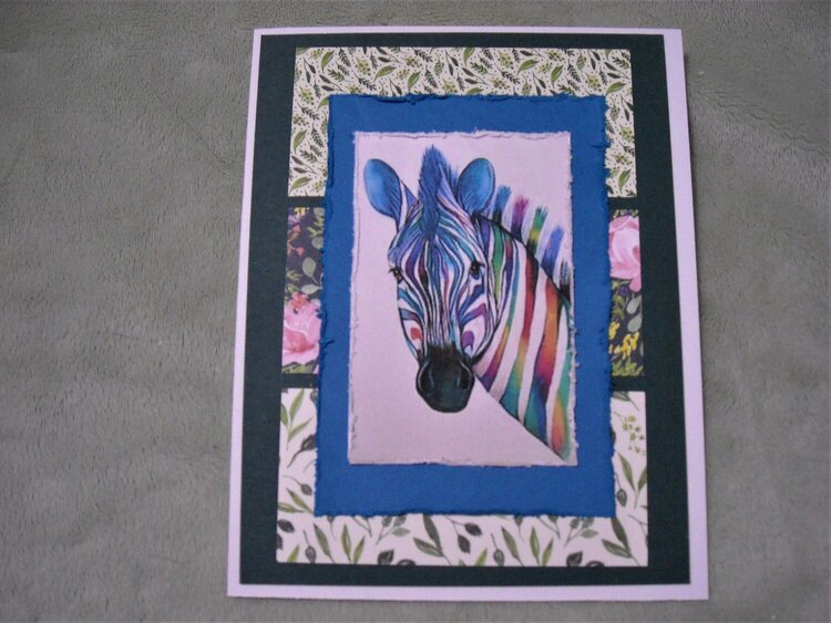 The Zany Zebra