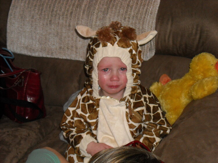My Little Giraffe