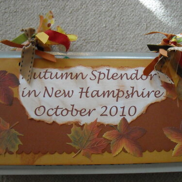 Autumn Splendor in NH