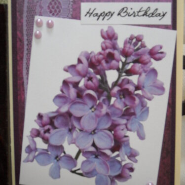 Happy Birthday  (Lilacs)