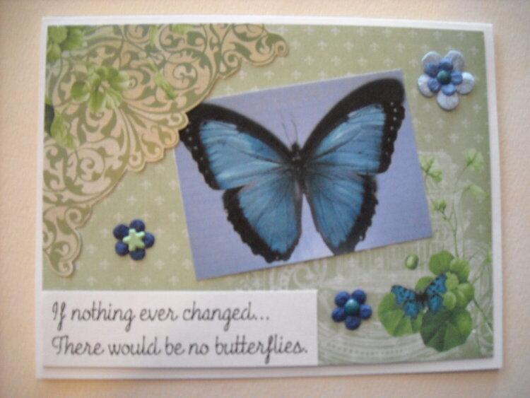 If nothing ever changed... There would be no butterflies