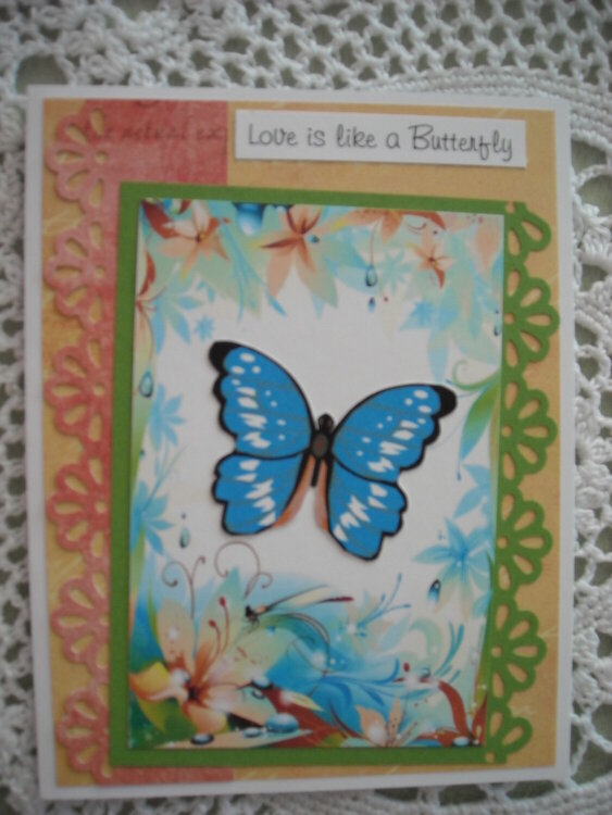 Love is like a Butterfly