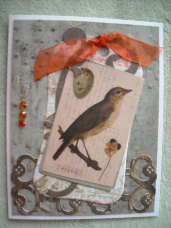 Bird Tag Card
