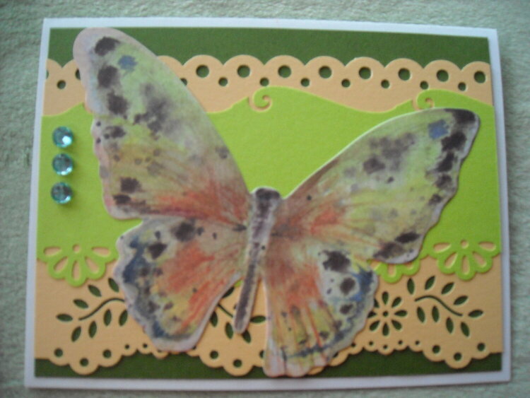 Free Spirit Butterfly