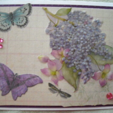 Lilac and Butterflies