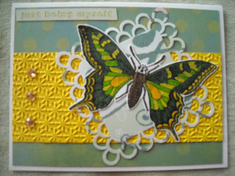 Green &amp; Yellow Butterfly...