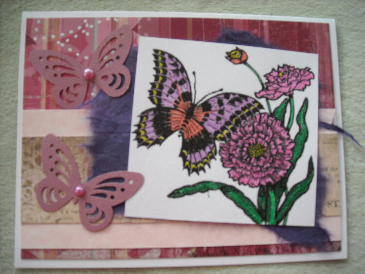 Butterflies and Flower Collage