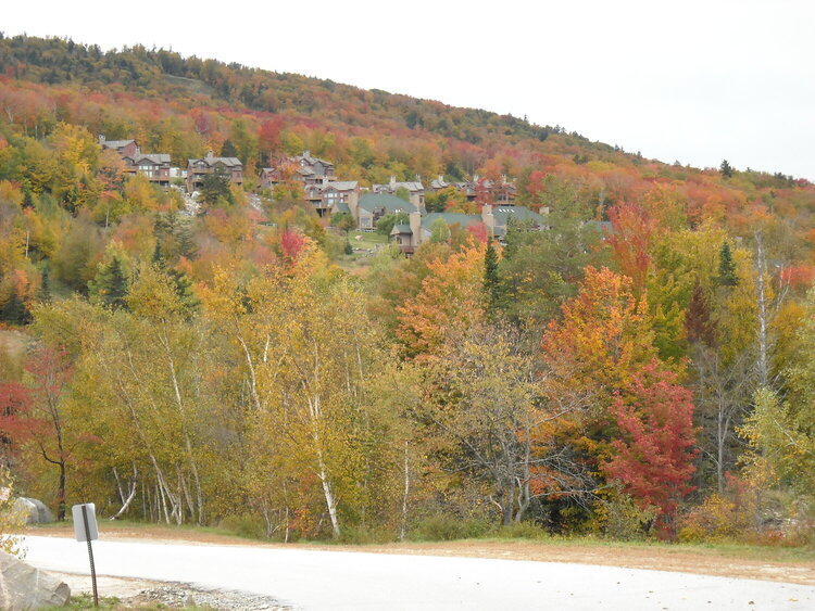 Condos at Bretton Woods, New Hampshire