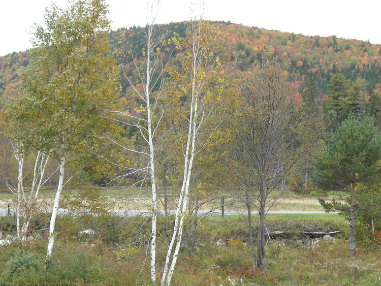 Bretton, Woods, New Hampshire