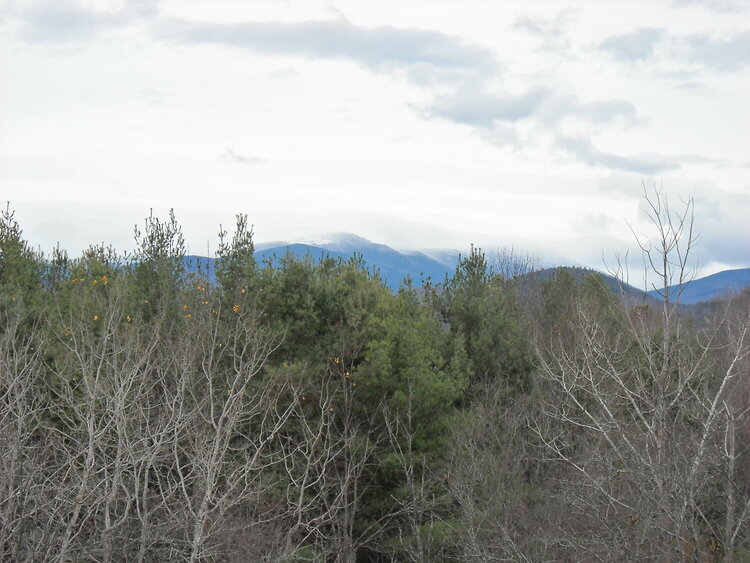 Snow capped Mount Washington in background.