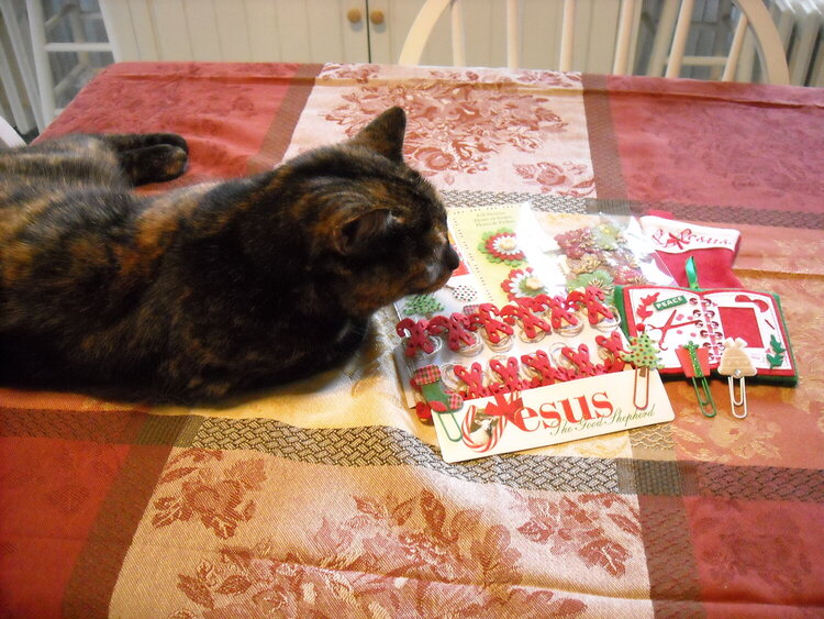Chancie checking out my gift