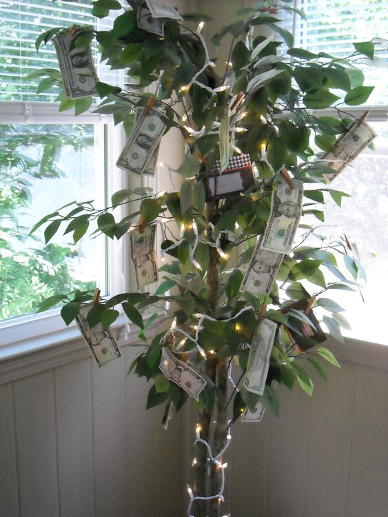 Money Grows on Trees!!!