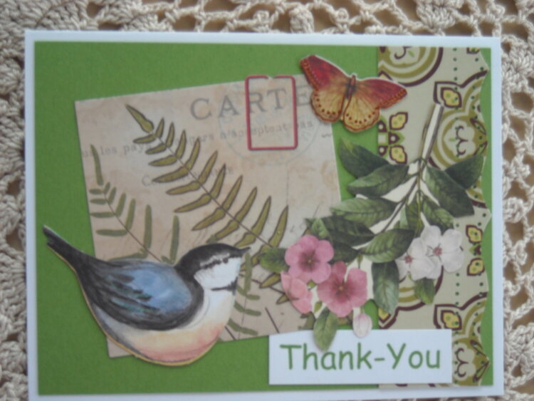 A Little Birdie says Thank-You
