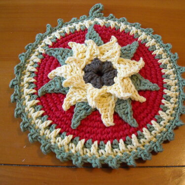 Crochet Potholder # 3