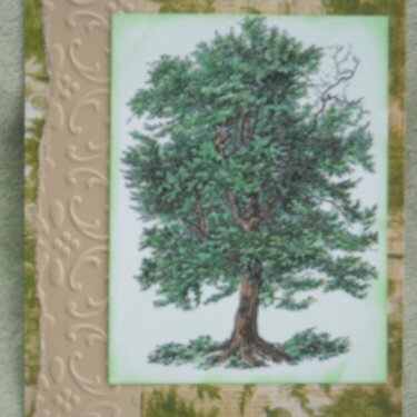 Lone Tree Masculine card