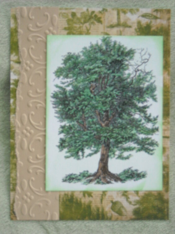 Lone Tree Masculine card