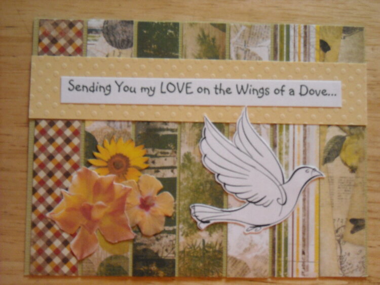 Sending You my LOVE on the Wings of a Dove