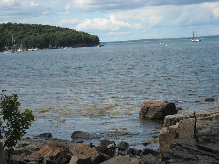 From Shore Path in Bar Harbor, Maine