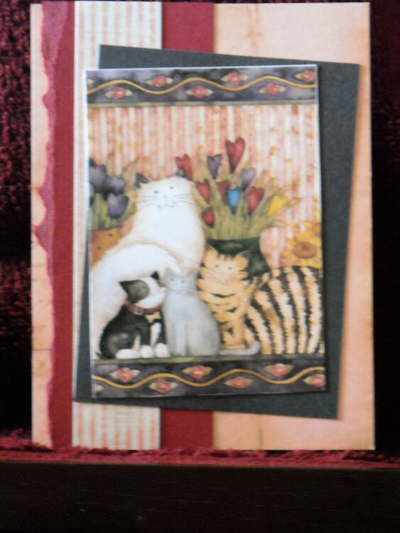 Kitty Art... Anytime card...