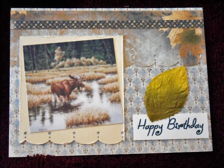 Happy Birthday  (Moose)