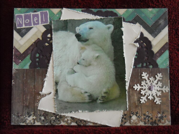 Polar Bears Mama &amp; Baby