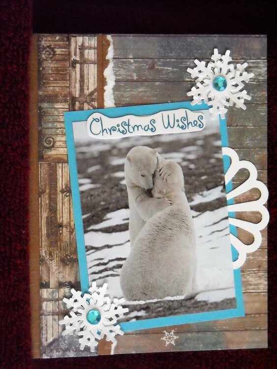 Christmas Wishes Polar Bears