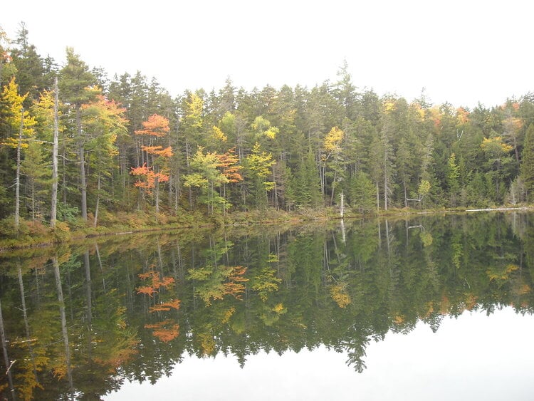 Mirror Lake #2