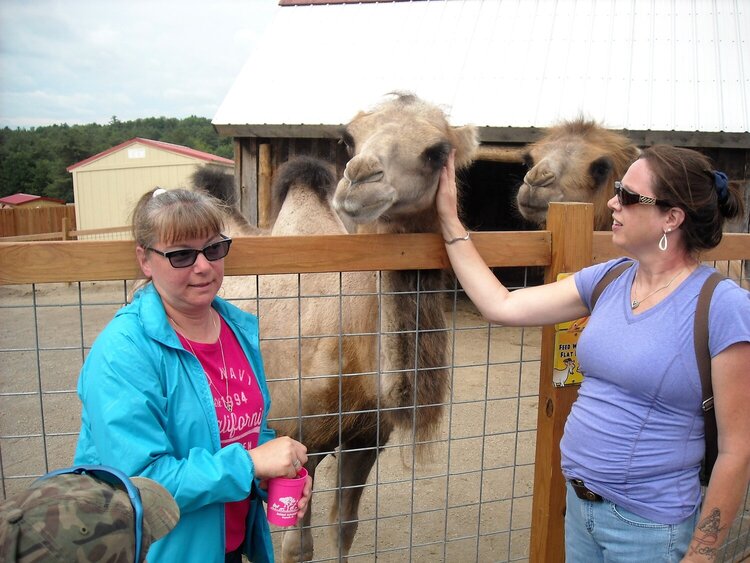 Daughters Dawn and Kathi with Camels Maxx &amp; Remy