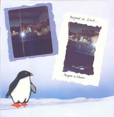 SeaWorld - Penguin 2