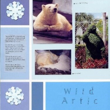 SeaWorld - Wild Artic