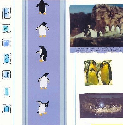 SeaWorld - Penguin Encounter