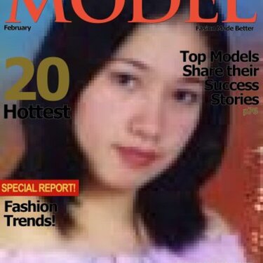 The Model