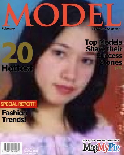 The Model