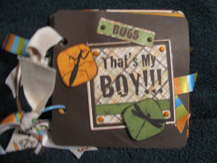 Paper book for A Boy  front cover