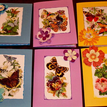 Buttergly Notecards