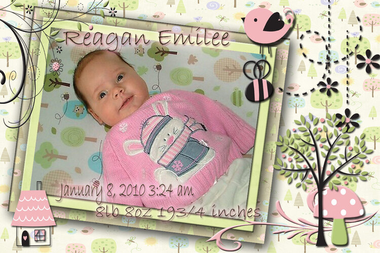 Reagan&#039;s Baby announcement