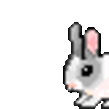 Jumping Rabbit