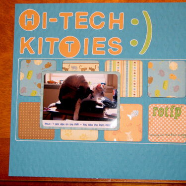 Hi-Tech Kitties p1