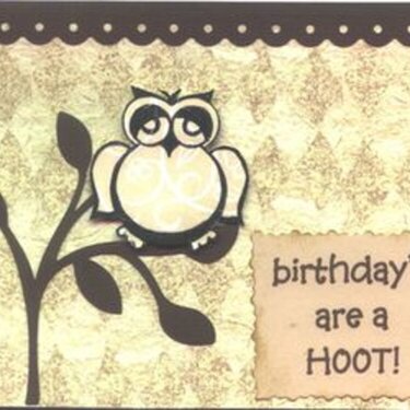 Birthday&#039;s are a Hoot!