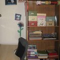 Craft/paper shelves