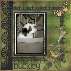 Buckley....our new babe