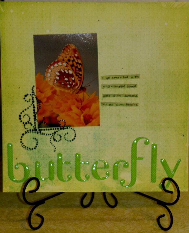 butterfly