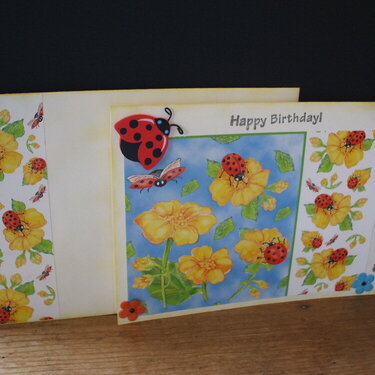 ladybug card &amp; envelope