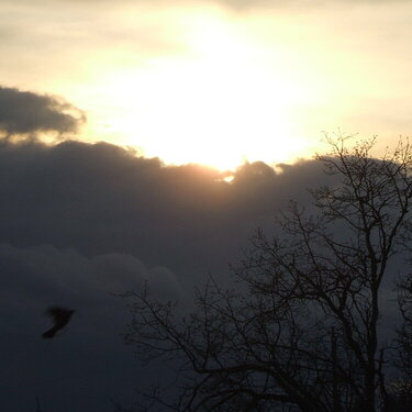 sun, clouds &amp; bird