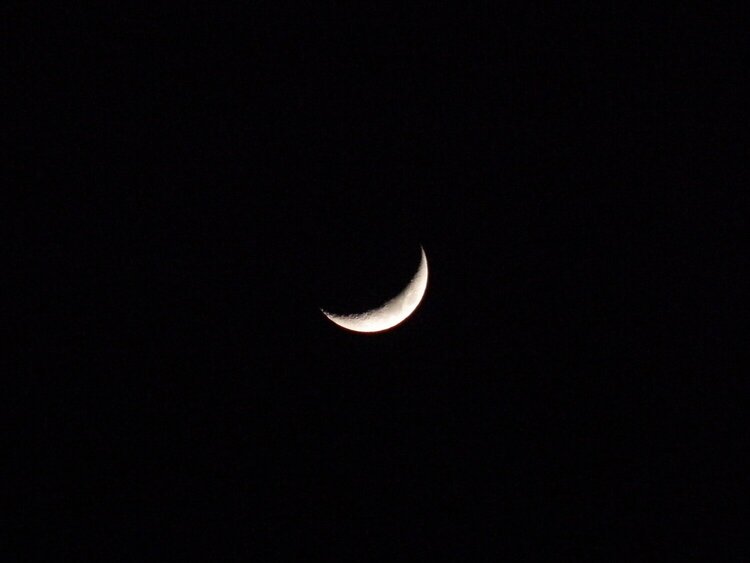 POD...JAN #6/15...Crescent Moon