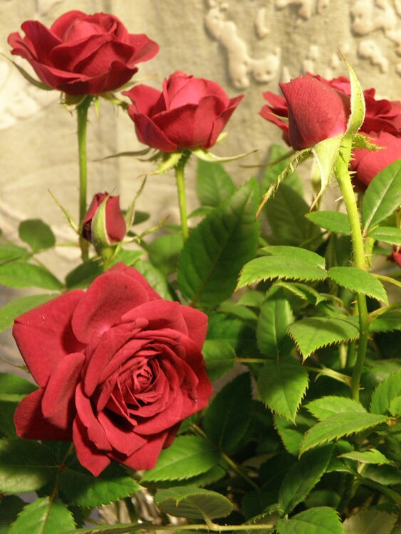 FEB 2021 / Mini #7 Flower / Roses
