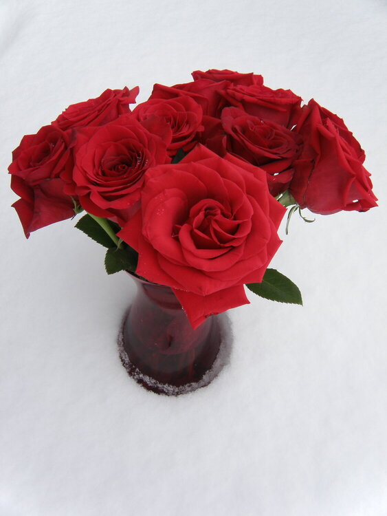 FEB 2021 / Mini #2 Red / Cut Roses