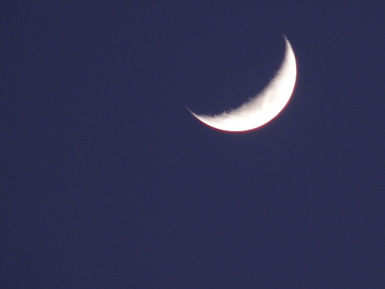 FEB 2015 / Photo Fun / #7 Crescent moon