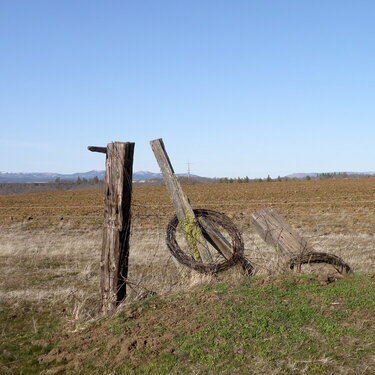 MAR 2021 #2 Fence posts/Barbwire