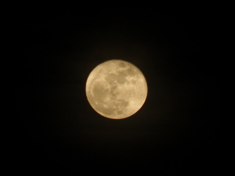 Full &quot;Worm&quot; Moon...3-30-10